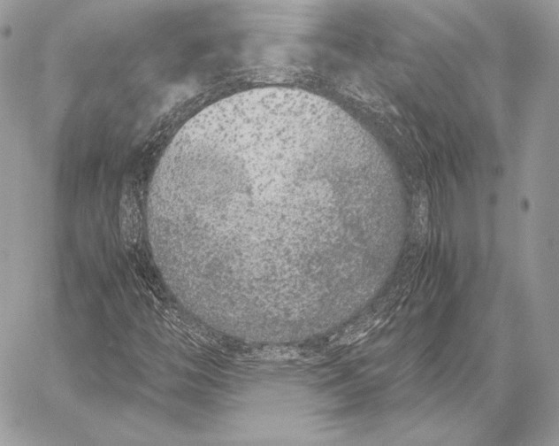 X0000058101446200510171206
