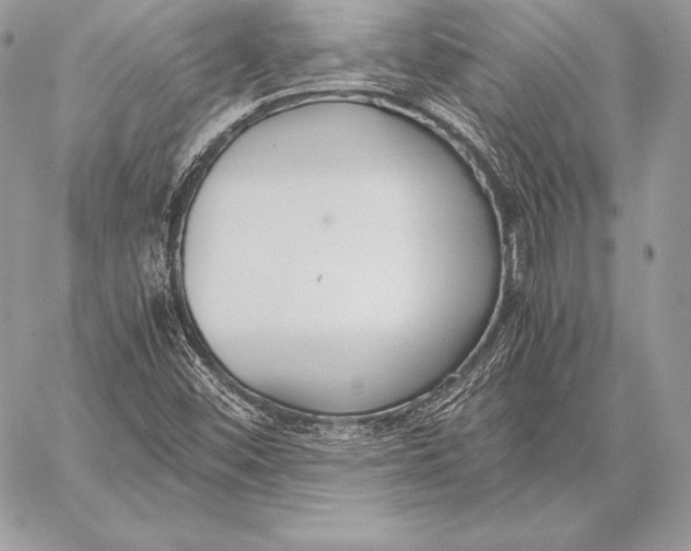 X0000058101452200510171206