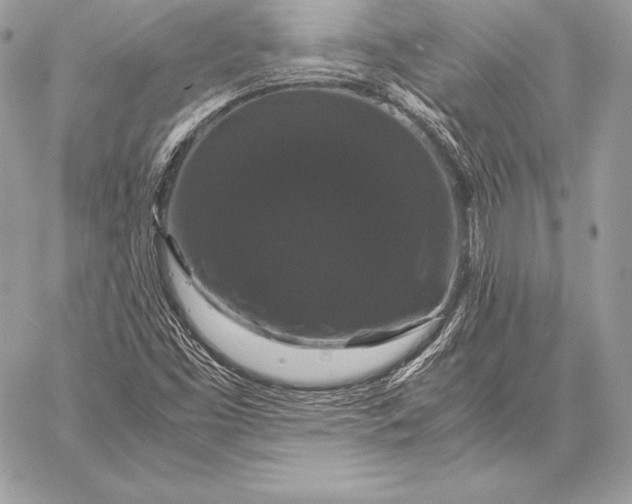X0000058101453200510171206