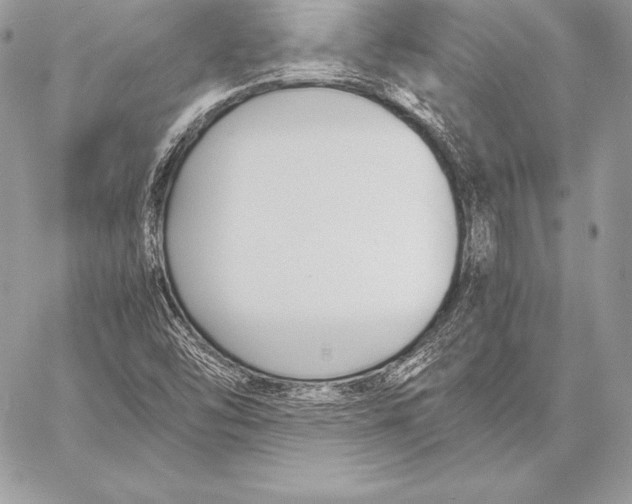 X0000058101454200510171206