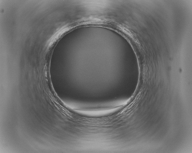 X0000058101455200510171206