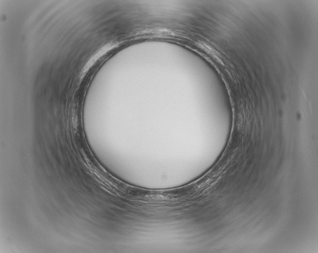 X0000058101458200510171206