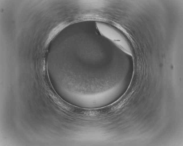X0000058101461200510171206