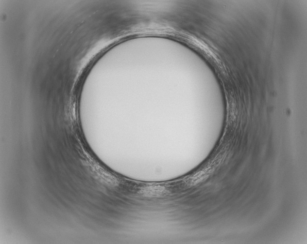 X0000058101462200510171206