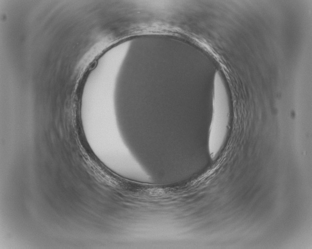 X0000058101463200510171206