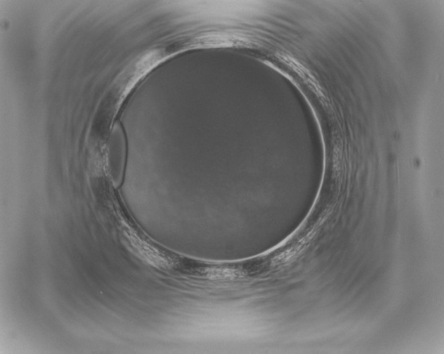 X0000058101465200510171206