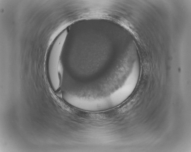 X0000058101469200510171205