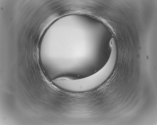 X0000058101476200510171205