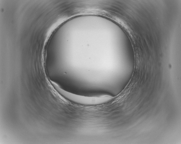 X0000058101480200510171205