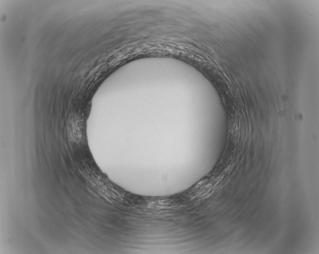 X0000058101490200510171204