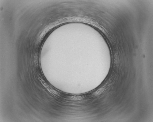 X0000058101499200510171204