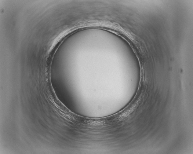 X0000058101501200510171205