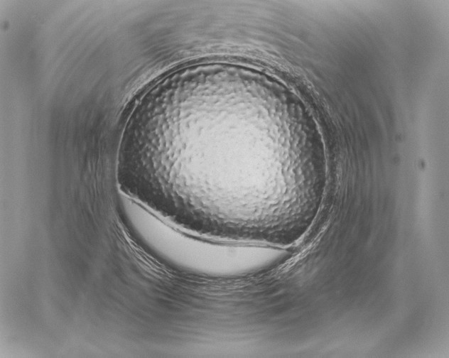 X0000058101505200510171205