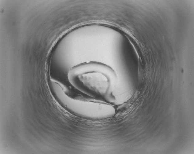 X0000058101508200510171205
