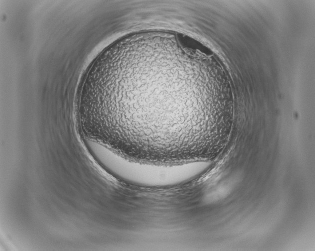 X0000058101525200510171205