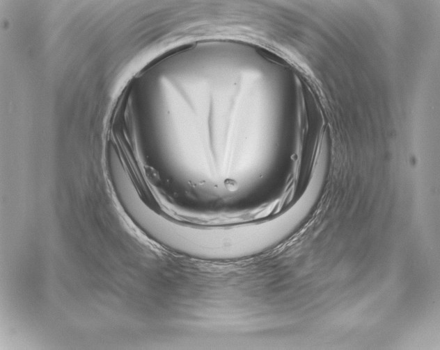 X0000058101528200510171205