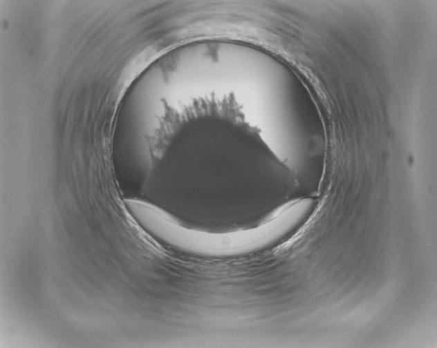 X0000058101529200510171205