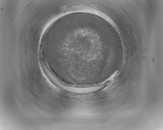 X0000058101536200510171205