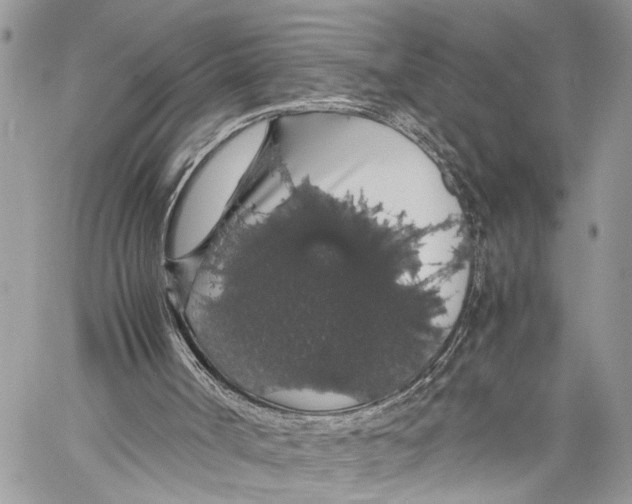 X0000058100002200510211447