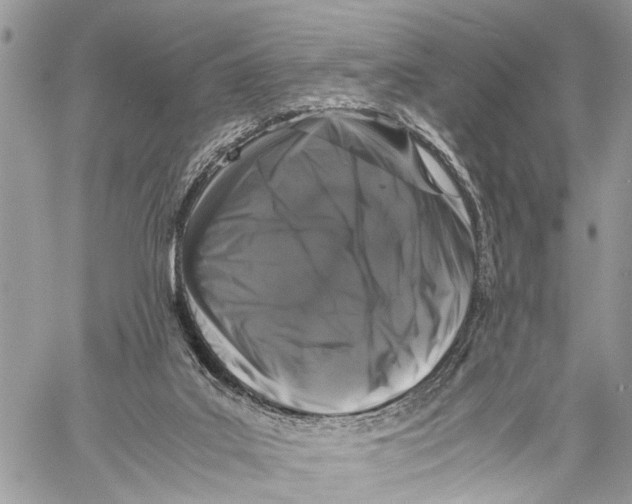 X0000058100019200510211447