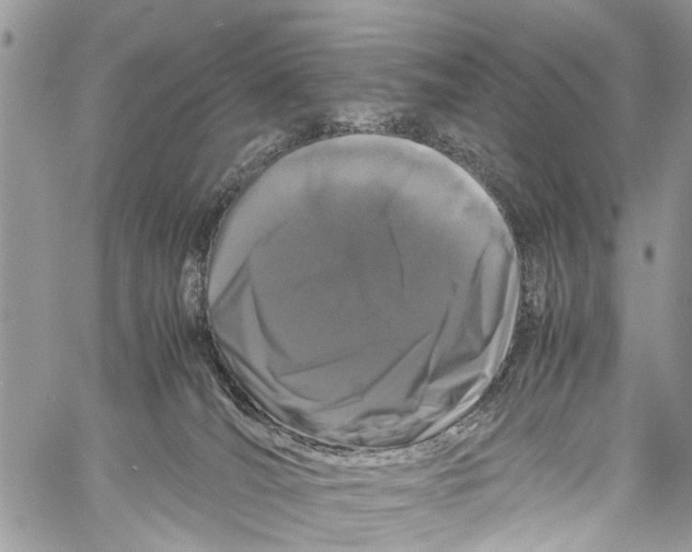 X0000058100036200510211447