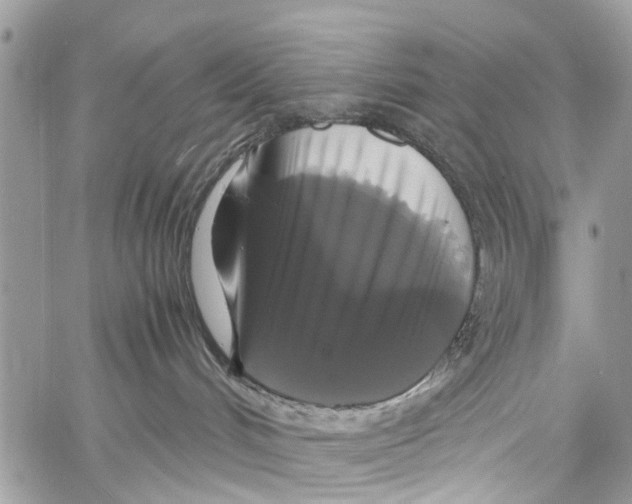 X0000058100048200510211447