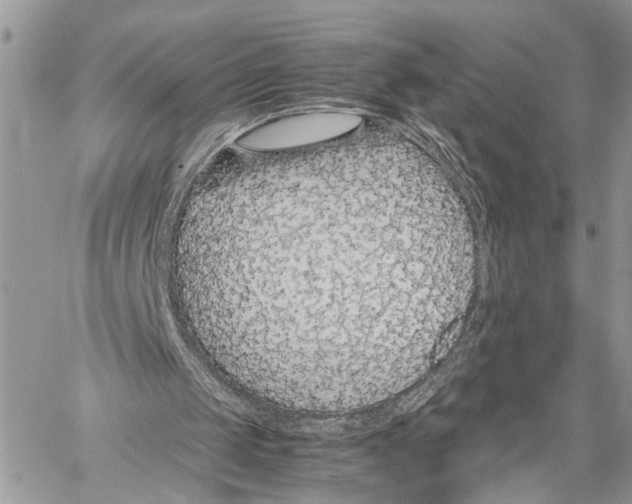 X0000058100049200510211446
