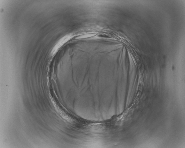 X0000058100054200510211446