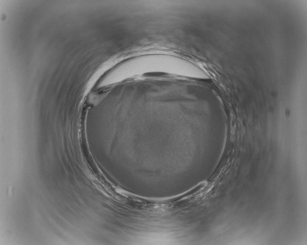 X0000058100056200510211446