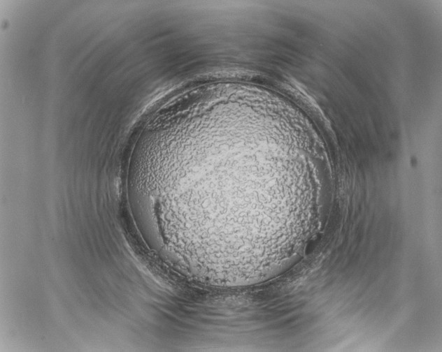 X0000058100063200510211446