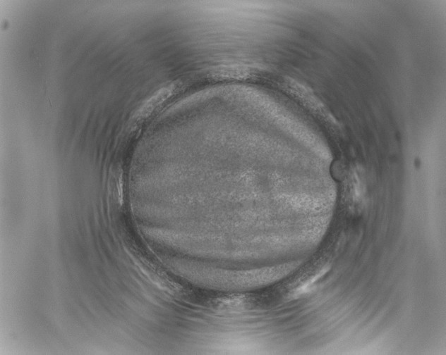 X0000058100068200510211446