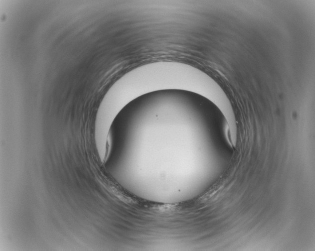 X0000058100092200510211446