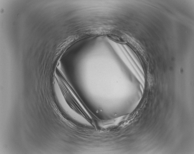 X0000058100105200510211446