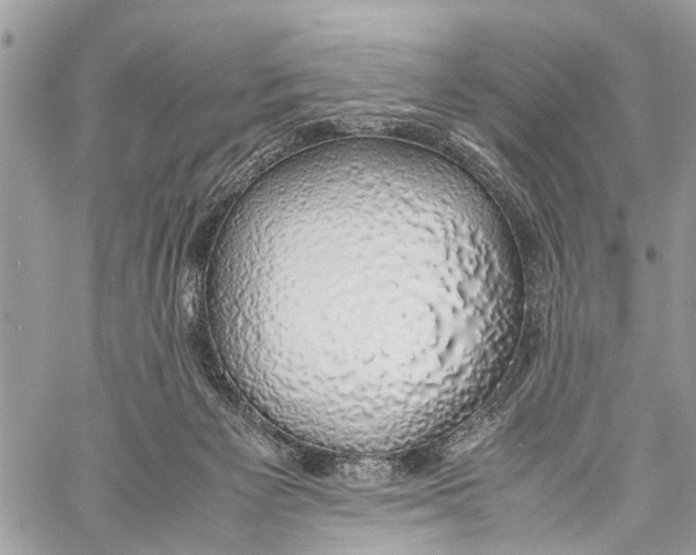X0000058100125200510211445