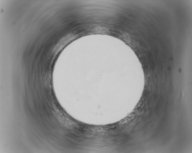 X0000058100146200510211444