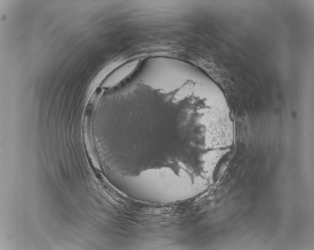 X0000058100147200510211444