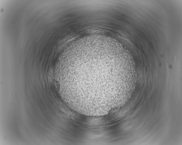 X0000058100189200510211445