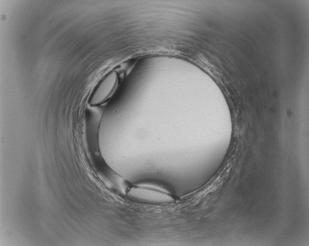 X0000058100193200510211444