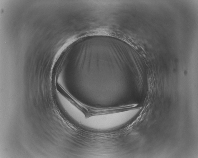 X0000058100200200510211444