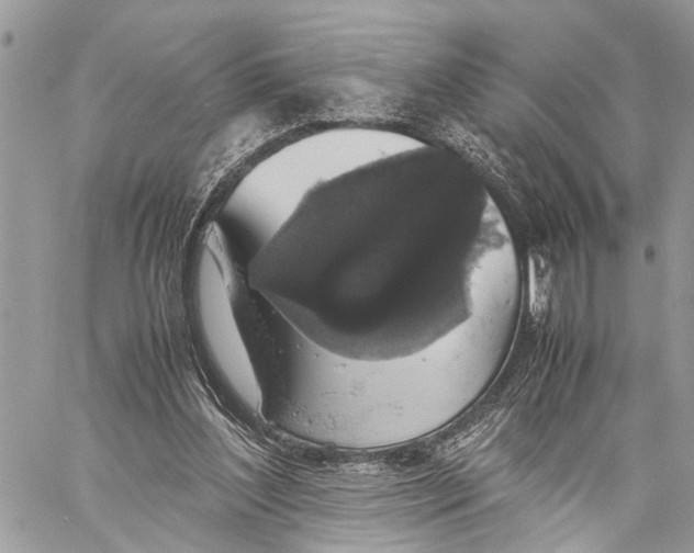 X0000058100204200510211444