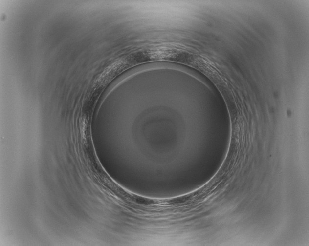 X0000058100219200510211444