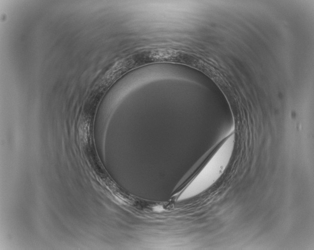 X0000058100227200510211444