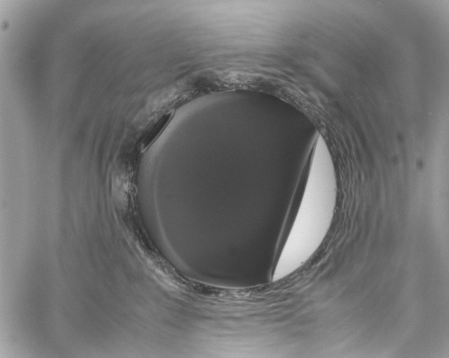 X0000058100235200510211444