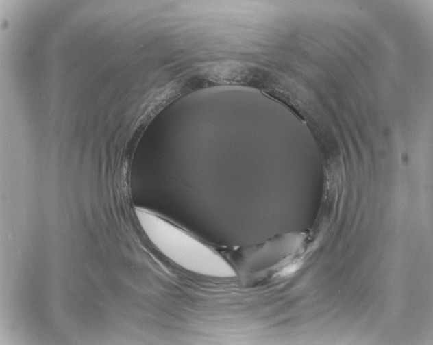 X0000058100239200510211443