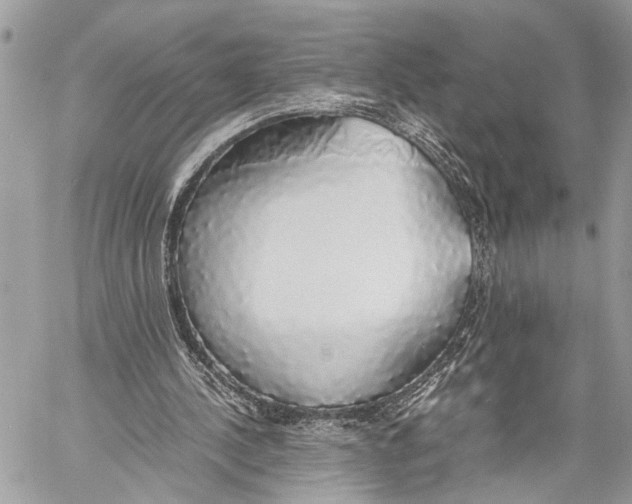 X0000058100244200510211443