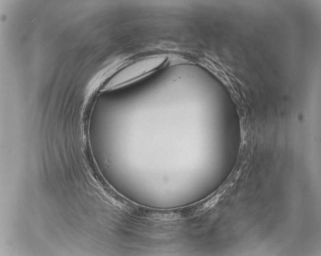 X0000058100245200510211443