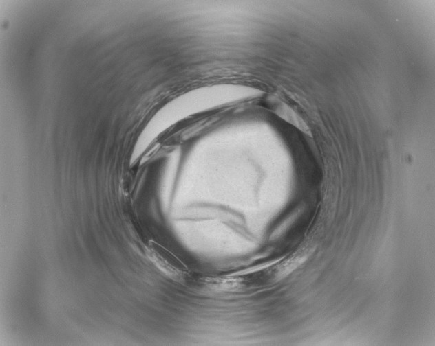 X0000058100288200510211443