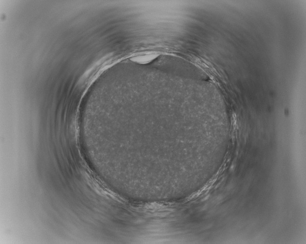 X0000058100290200510211443
