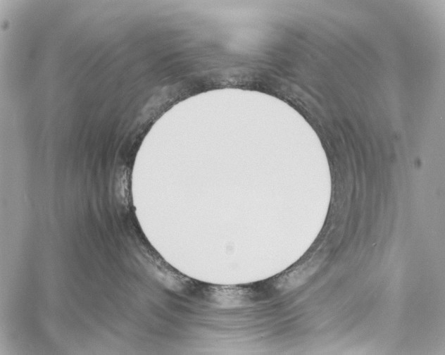 X0000058100336200510211442