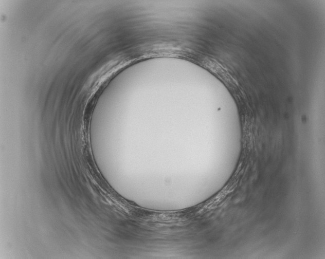 X0000058100338200510211441